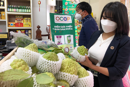 Hà Nội: Phấn đấu 100% cửa hàng bán trái cây có đăng ký kinh doanh