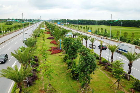 Hà Nội trồng mới 162.053 cây xanh đô thị trong năm 2021