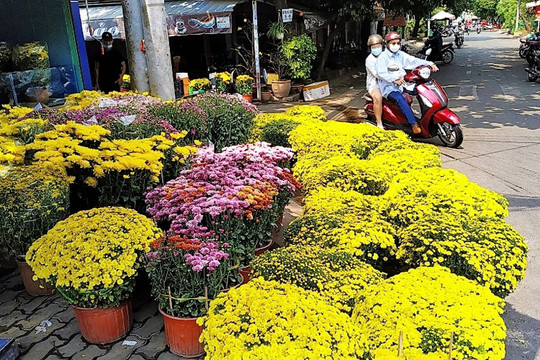 Chợ hoa Tết thành phố Hồ Chí Minh: Sức mua chưa tăng