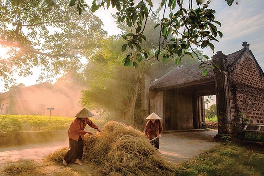 Lại bàn về bản sắc dân tộc của văn học