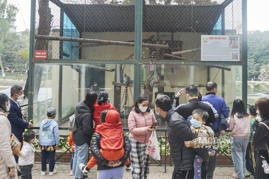 Vườn thú Hà Nội đón hơn 45.800 lượt khách trong dịp Tết