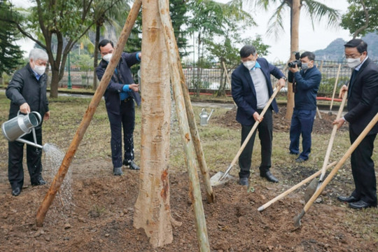 Tổng Liên đoàn Lao động Việt Nam phát động Tết trồng cây