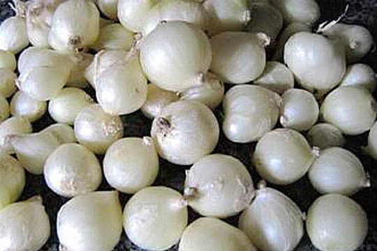 Củ hành tăm