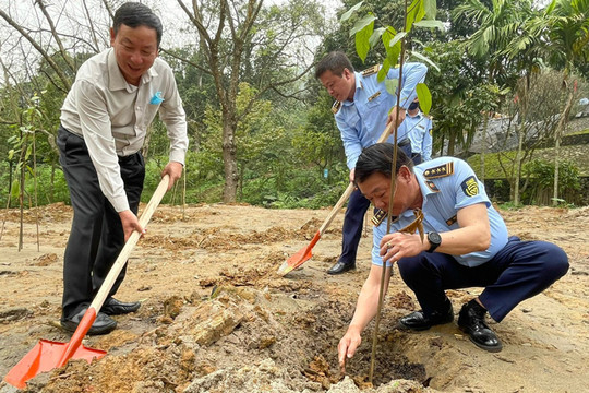 Cục Quản lý thị trường thành phố Hà Nội phát động trồng 1.000 cây xanh