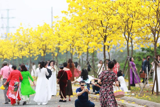 Quận Hà Đông yêu cầu không tập trung đông người ở đường hoa tại khu đô thị Park City Hà Nội