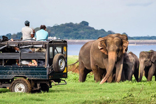 Xây dựng tour du lịch Sri Lanka cho du khách Việt Nam