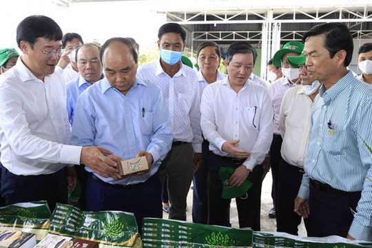 Chủ tịch nước Nguyễn Xuân Phúc làm việc tại tỉnh Đồng Tháp về phát triển kinh tế tập thể