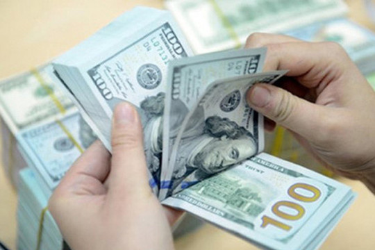 Việt Nam đầu tư ra nước ngoài trên 211 triệu USD