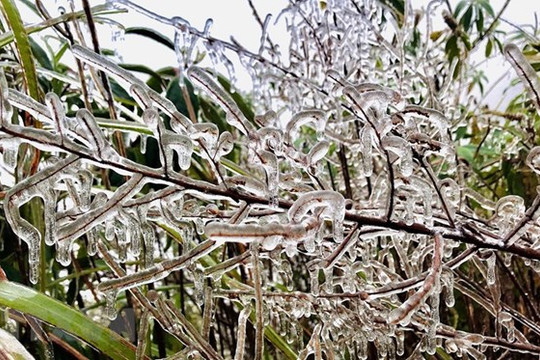Lào Cai: Fansipan xuất hiện băng giá phủ trắng giữa mùa xuân
