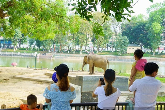 Nhiều khu, điểm du lịch đông khách trong kỳ nghỉ Giỗ tổ Hùng Vương