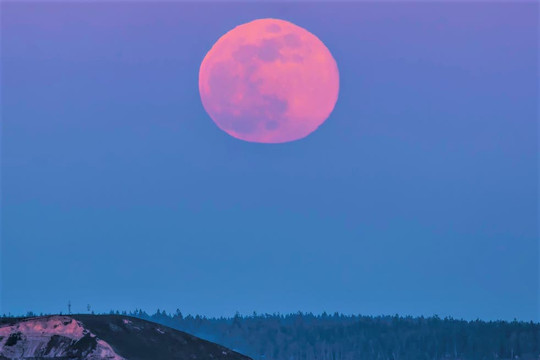 Thế giới chờ đón ''trăng hồng'' tháng 4