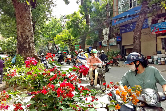 Phiên chợ Bưởi - một nét văn hóa của Hà Nội