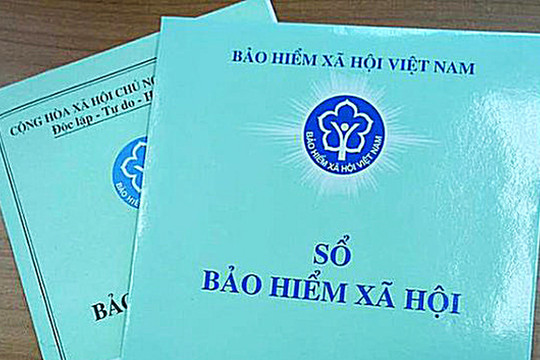 Thành phố Hồ Chí Minh giải quyết cho 506.309 lượt người hưởng chế độ bảo hiểm xã hội