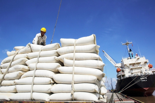 Giá trị xuất khẩu gạo đạt 1 tỷ USD