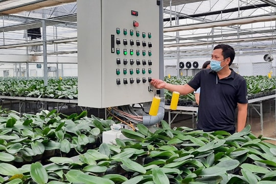 Những trang trại hồi sinh vùng đất trũng