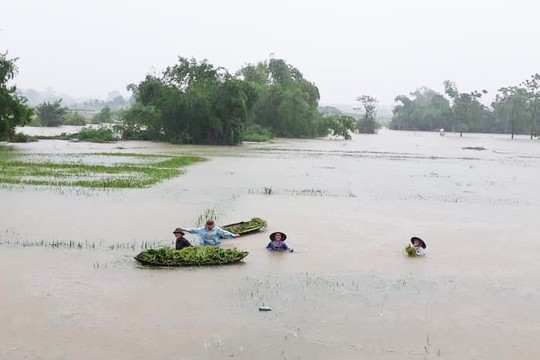 Hà Nội: Mưa lớn gây úng ngập hơn 4.040ha lúa, rau màu
