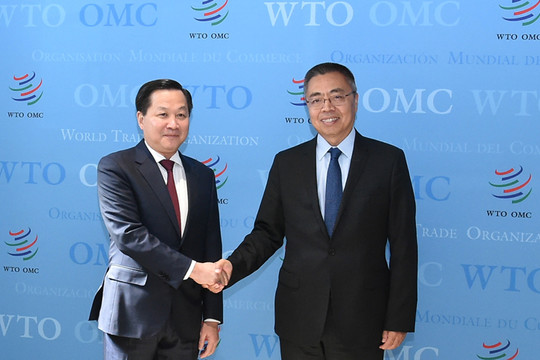 Việt Nam coi trọng vai trò trung tâm của WTO