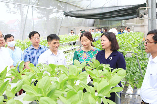 Xây dựng nông thôn mới tại Sóc Sơn theo hướng nông nghiệp sinh thái, áp dụng công nghệ cao