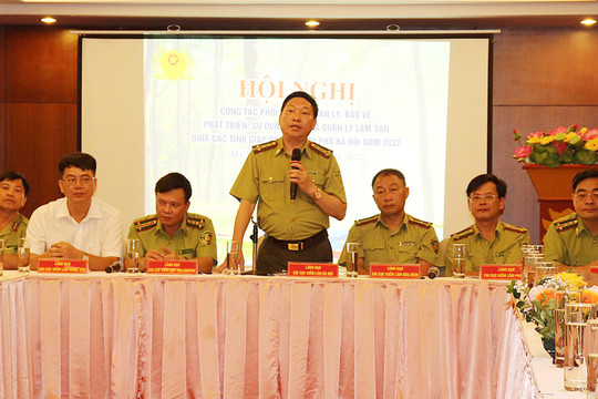 Kiểm lâm Hà Nội chủ động phối hợp quản lý, bảo vệ rừng vùng giáp ranh