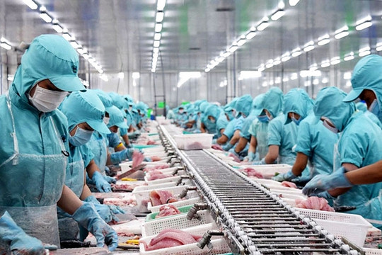 Có 117 thị trường nhập khẩu sản phẩm cá tra Việt Nam