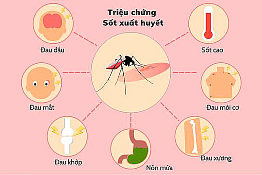 Thành phố Hồ Chí Minh: Nguy cơ dịch Covid-19 chồng dịch sốt xuất huyết