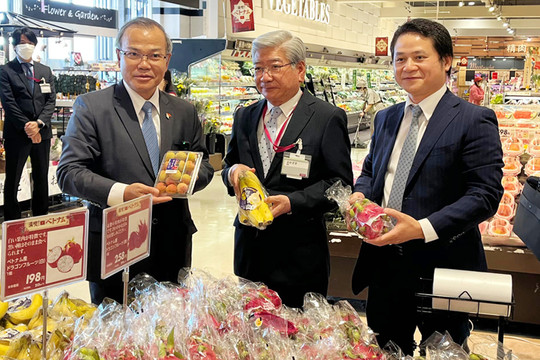 Khai mạc Tuần hàng Việt Nam tại hệ thống siêu thị Aeon ở Nhật Bản