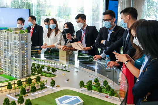 Định kỳ hằng quý công bố thông tin về nhà ở, thị trường bất động sản