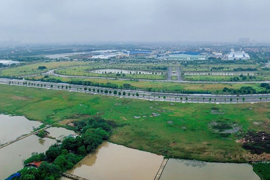 Điều chỉnh cục bộ quy hoạch 3 khu đất xây trường học tại quận Long Biên