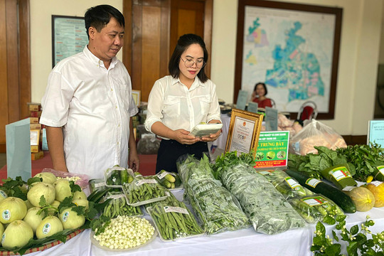 Huyện Sóc Sơn: Nỗ lực liên kết tiêu thụ nông sản công nghệ cao, hữu cơ