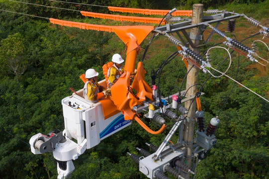 EVN đưa vào vận hành 49 công trình lưới điện quan trọng