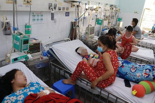 Thành phố Hồ Chí Minh xây dựng 3 kịch bản thu dung điều trị sốt xuất huyết