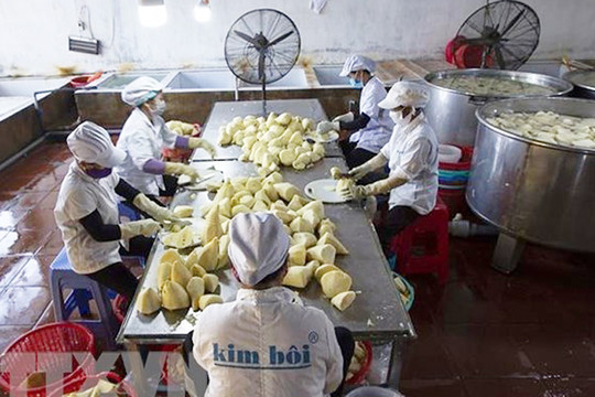 Đưa Việt Nam thành trung tâm chế biến nông sản tốp 10 thế giới vào năm 2030