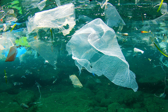 Chất thải nhựa đe dọa khu vực ven sông, ven biển Việt Nam