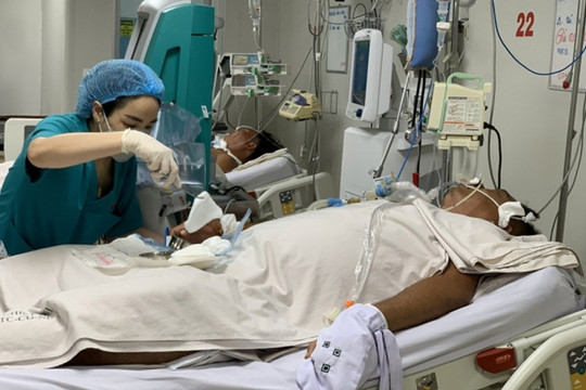 Thành phố Hồ Chí Minh: Số ca tử vong do sốt xuất huyết tăng lên 16 ca