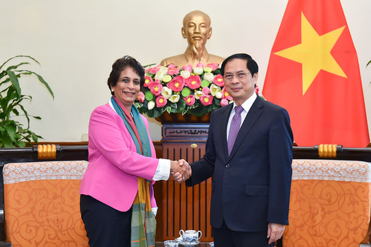 Đề nghị UNDP huy động nguồn lực thực hiện Văn kiện chương trình quốc gia cho Việt Nam