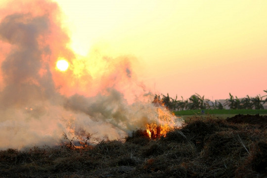 Phạt đến 3 triệu đồng hành vi đốt rơm rạ gây ô nhiễm môi trường