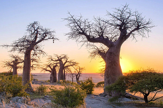 Những điểm đến không thể bỏ qua ở Botswana