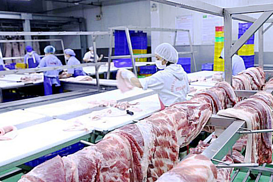 Tuần qua, giá thịt lợn hơi giảm