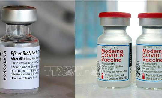 EU cấp chứng nhận cho 2 loại vắc xin phiên bản mới ngừa biến thể Omicron