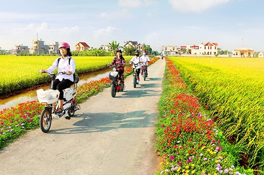 Hà Nội: Quy định tiêu chí xã nông thôn mới, xã nông thôn mới nâng cao, xã nông thôn mới kiểu mẫu