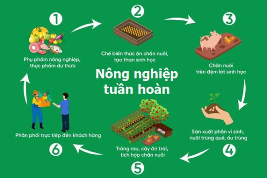 Hà Nội: Khoảng 150.000 hộ nông dân sẽ được tập huấn về ứng dụng công nghệ sinh học