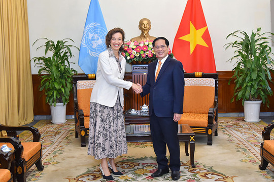 Việt Nam sẽ ứng cử thành viên Ủy ban Di sản thế giới
