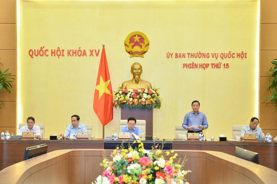 Năm 2022: Lượt người khiếu nại, tố cáo, kiến nghị, phản ánh giảm 14,1%