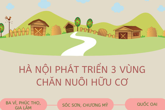Phát triển 3 vùng chăn nuôi hữu cơ tại Hà Nội