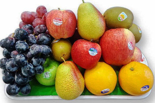 Cách chọn trái cây nhập khẩu an toàn