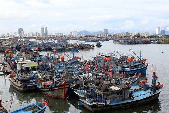 Quảng Nam và Đà Nẵng khẩn trương triển khai ứng phó bão số 4