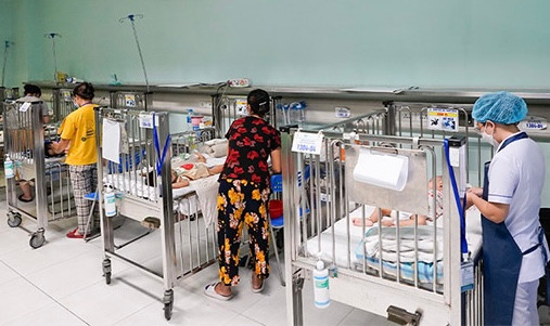 Hà Nội: Số ca mắc sốt xuất huyết giảm nhẹ, có thêm 920 ca Adenovirus trong một tuần