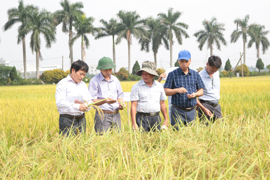 Phó Chủ tịch UBND thành phố Hà Nội Nguyễn Mạnh Quyền: Khơi thông “điểm nghẽn” trong nông nghiệp