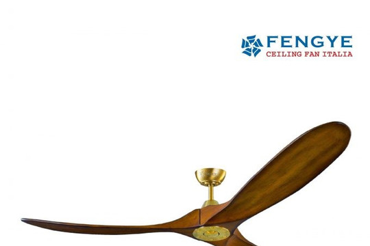 Quạt trần Italia Fengye - chất lượng, hiện đại, uy tín