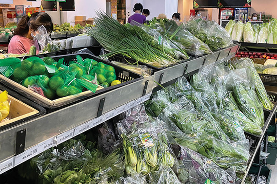 Nỗi lo về nguồn gốc rau xanh trong siêu thị